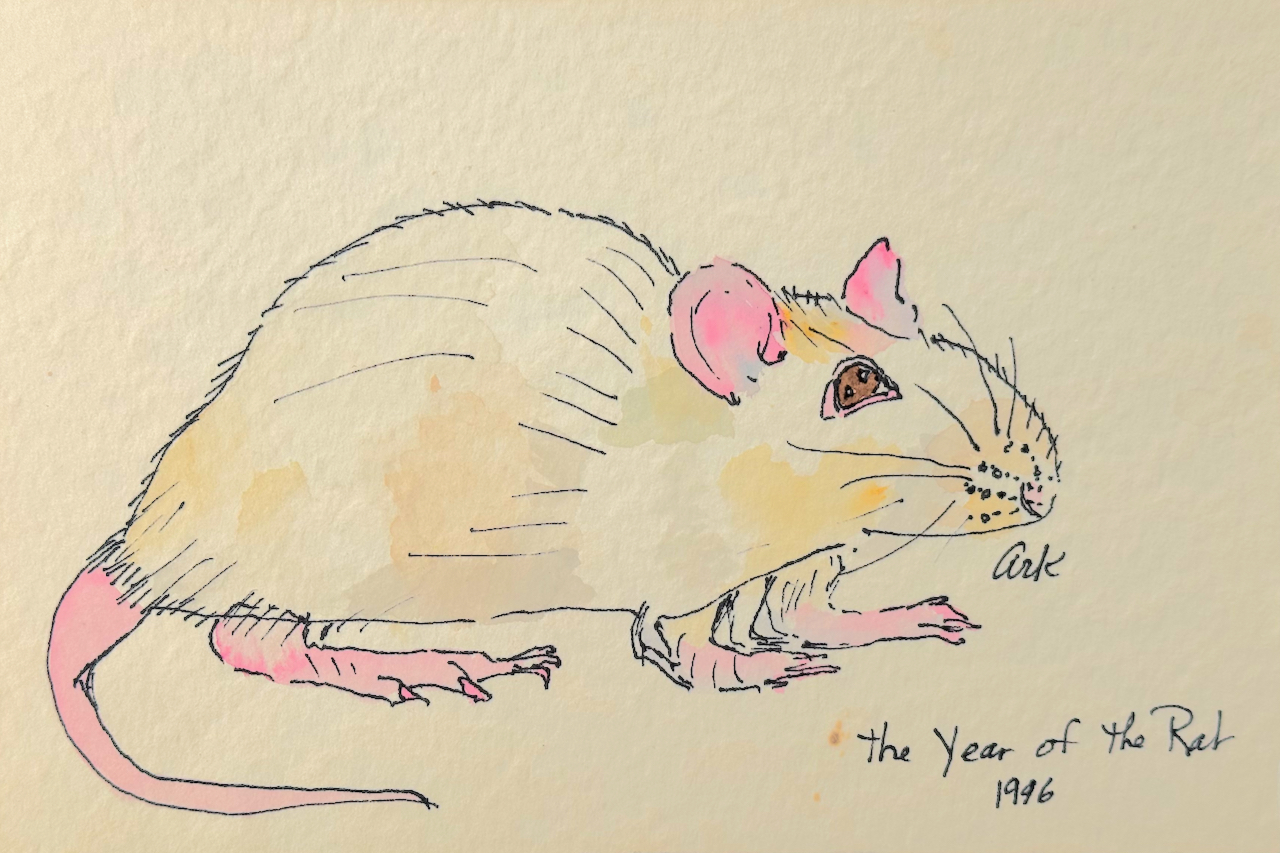 Year of the Rat, by Anna Ruth Kipping