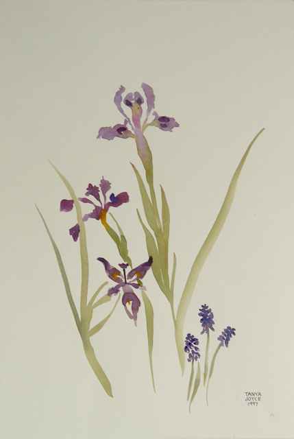 DSC02169_crop.JPG